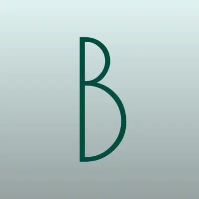 Бор Теплоэнерго, лого-визитка