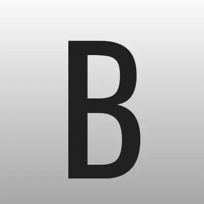 Бор сегодня, газета, лого-визитка