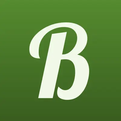 Bor152.ru, база строительных материалов, лого-визитка