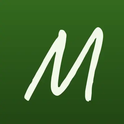 Мир игрушек, сеть магазинов, лого-визитка