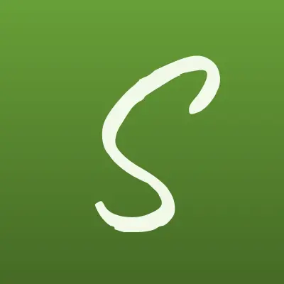 Советник, лого-визитка