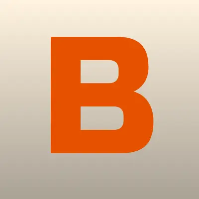 Борский городской суд